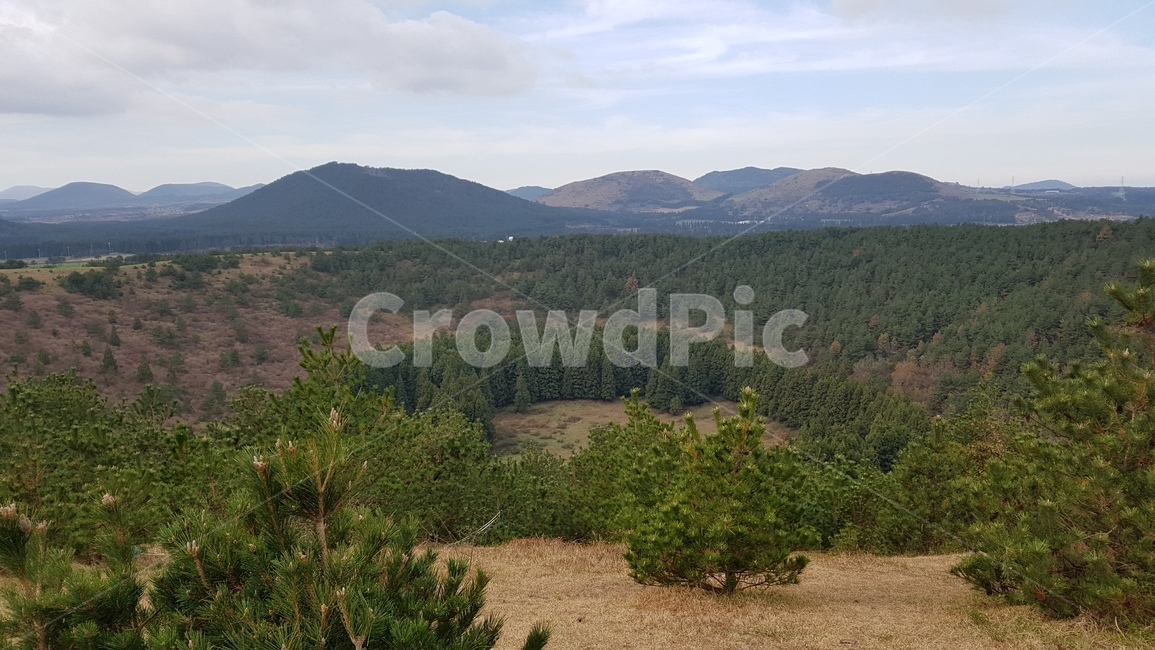제주오름,오름,오름군락,제주도,제주환경,자연환경,제주자연환경