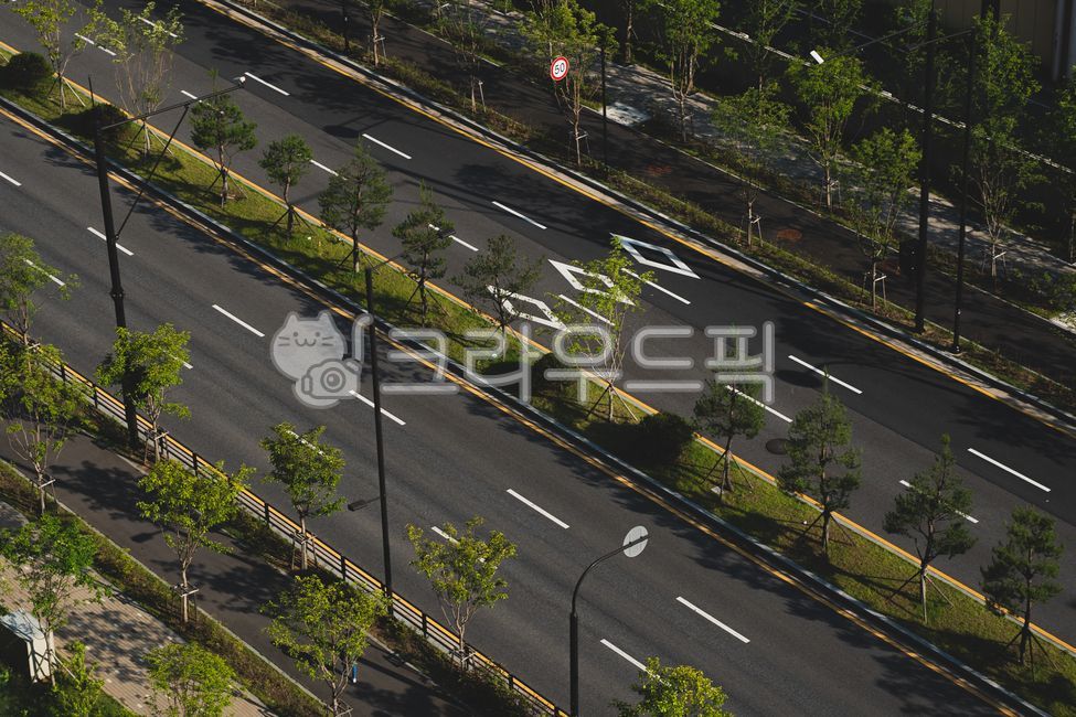 Road,street trees,sidewalk,aerial view,asphalt