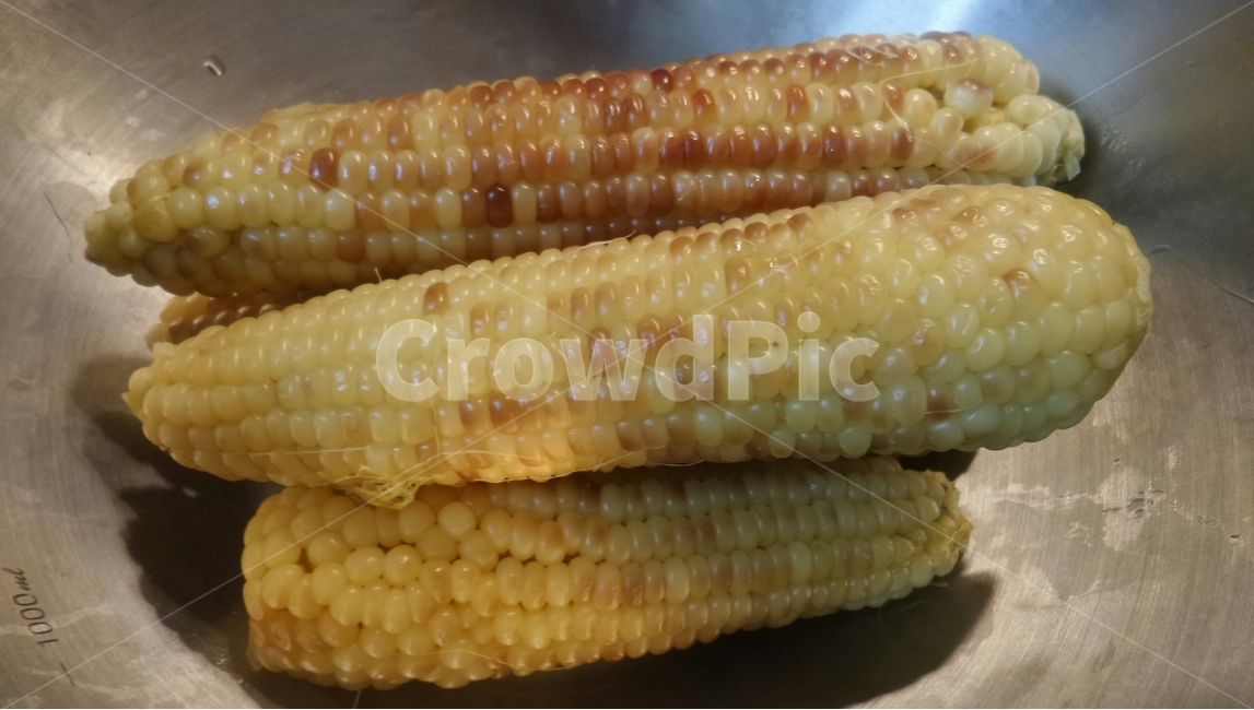 옥수수,콘,벼과,1년생초,곡물,연립종,강냉이,농산물,팝콘,알곡,음식,식재료,요리,food,cook,meal,dishes,food reserves,곡류,곡식,cereals