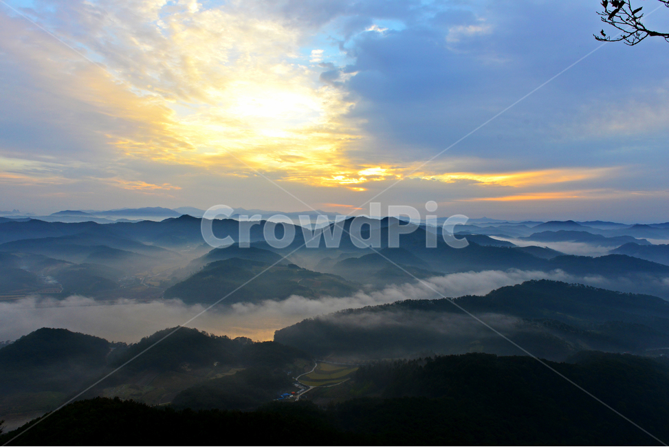 임실,국사봉,국사봉일출,여명,아침,해돋이,운해,소나무,nature,자연,mountain,산,mountainrange,산맥,outdoors,옥외,자연,풍경,nature,landscape