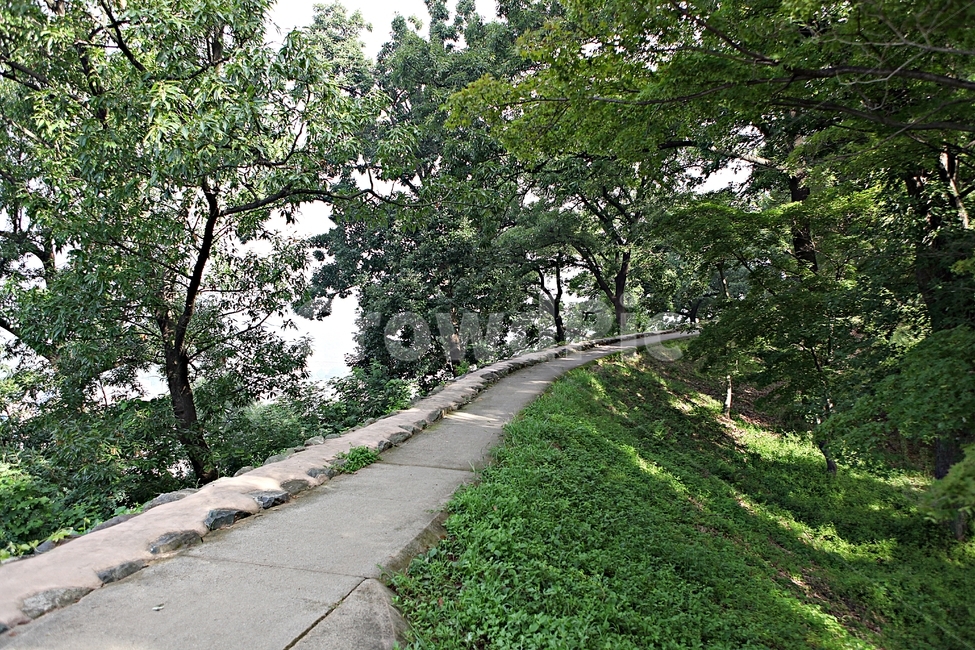 공주산성,성,산성,성곽,길,둘레길,숲,숲길,담,돌담,여름,풍경,벽,방어벽,흙담,나무,식물,유네스코등제