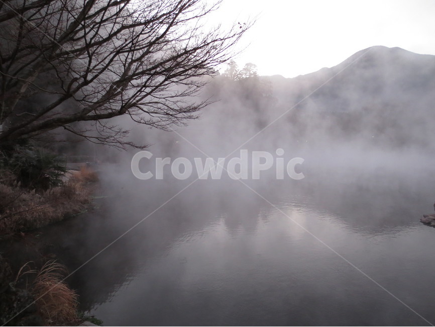 misty,안개,유후인,yufuin,japan,일본,호수,lake,dawn,daybreak,새벽,나무,tree,산,mountain,자연,nature,풍경,scenery,자연,풍경,nature,landscape,weather,날씨,outdoors,옥외