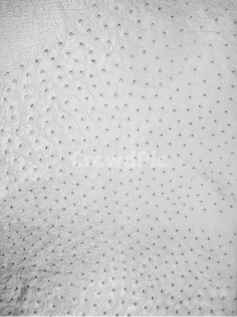 가죽,타조,특수피혁,원단,가방,텍스처,질감,패턴,texture,pattern