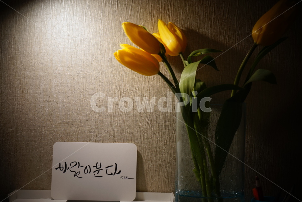 캘리그라피,꽃,노랑,조명,꽃병,무드,flower,yellow,캘리,바람이분다,노란꽃,꽃,flower,캘리그라피,손글씨,calligraphy