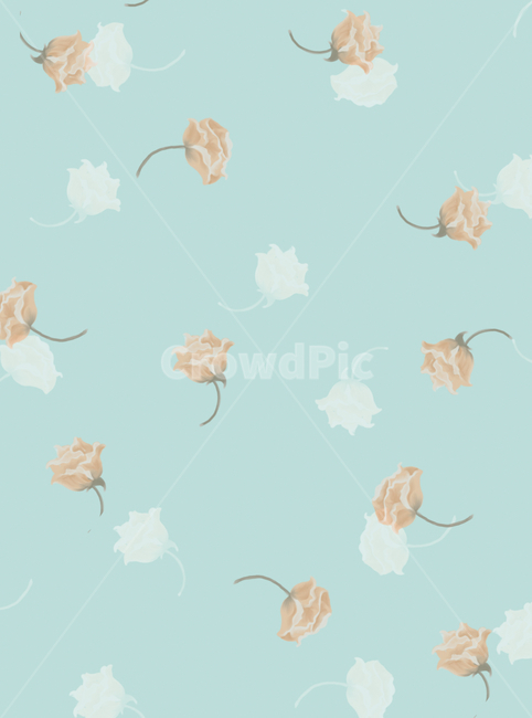 꽃,장미꽃,배경,패턴,무늬,꽃무늬,하늘색,낭만적인,여성스러운,여성,데코,벽지,카드,살구색,분홍색,핑크,coral,코랄,꽃,flower,그래픽,일러스트레이션,graphic,illustration,텍스처,질감,패턴,texture,pattern