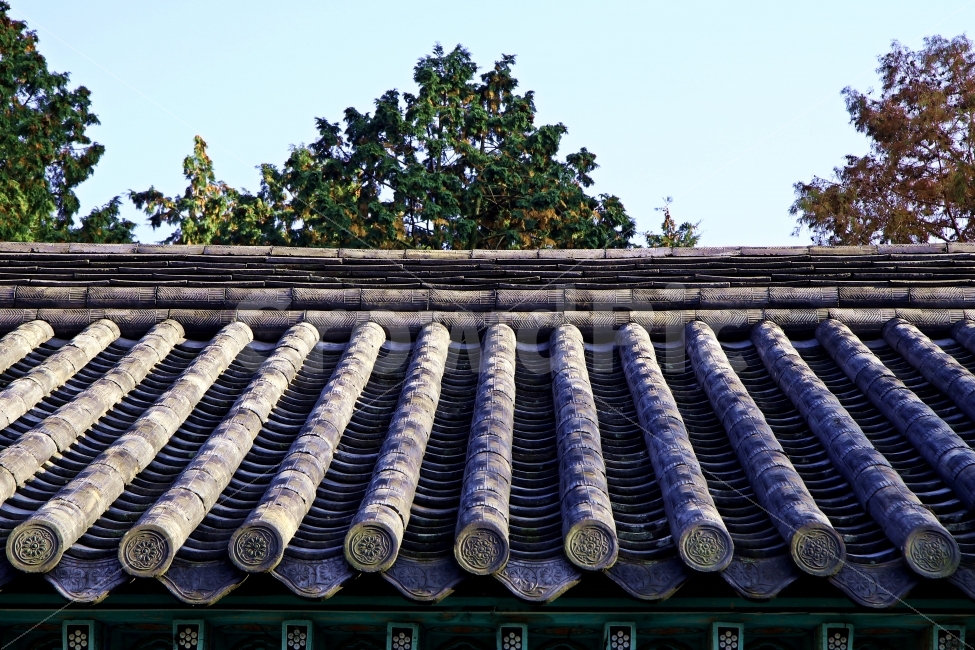 기와,가을,날씨,맑은,동양의,배경,풍경,건축물,건물외관,exterior,building,structure,architecture,construction,한국전통,한국문화,korean traditional,korean culture