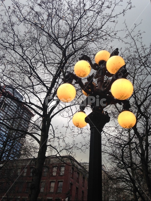 겨울,크리스마스,가로등,야경,쓸쓸함,야경,밤,풍경,nightscape,night,landscape,lamp post,램프 포스트