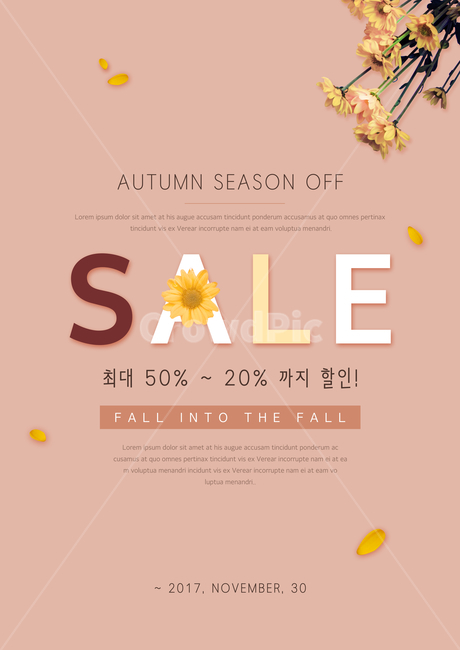 국화,꽃,꽃잎,가을,이벤트,쇼핑,팝업,가을,계절,fall,autumn,season,축제,행사,festival,carnival,event,쇼핑,shopping,그래픽,일러스트레이션,graphic,illustration,advertisement,광고,poster,포스터,brochure,브로슈어,flyer,전단,paper,종이