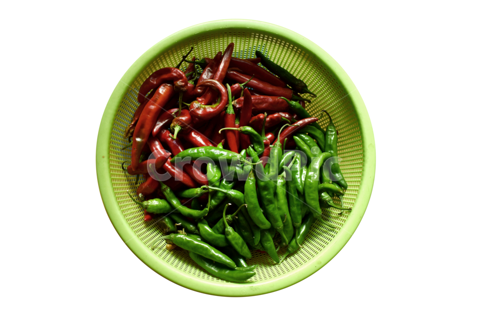 고추,청고추,홍고추,바구니,가을,수확,식물,plant,야채,채소,야채,vegetables