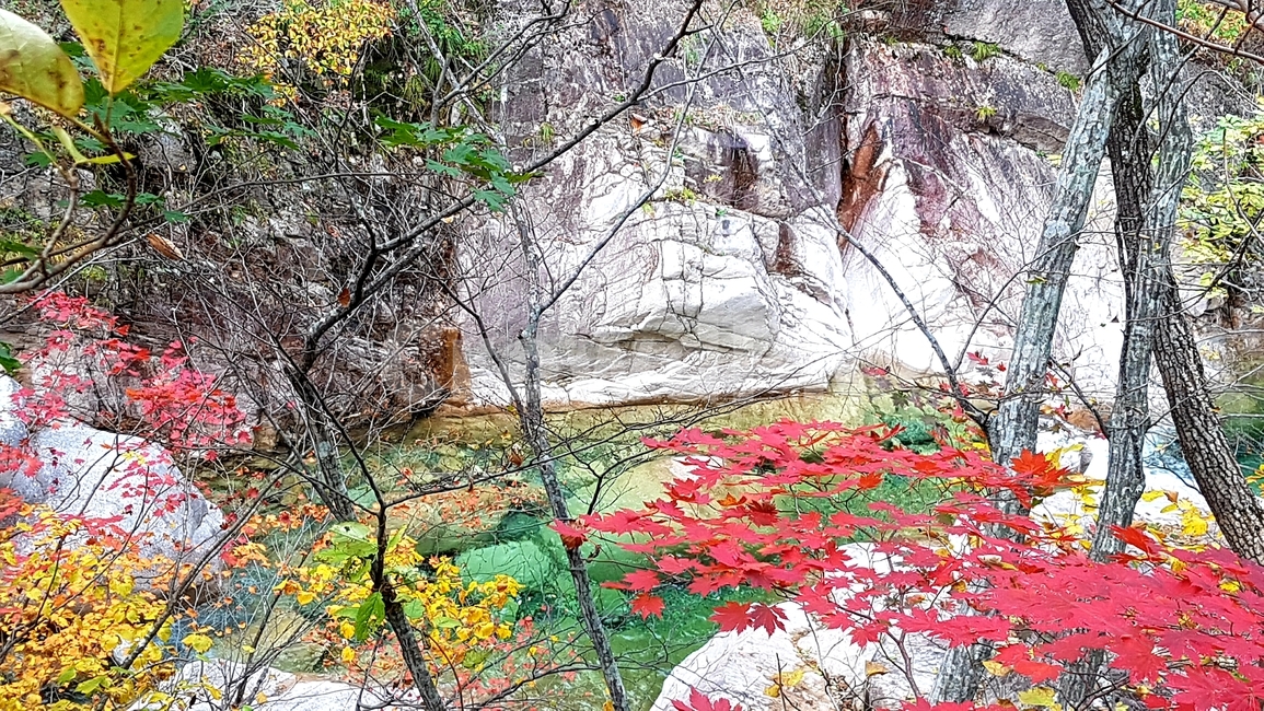 설악산,가을,단풍,국립공원,천불동계곡,옥빛,담소,가을,계절,fall,autumn,season,자연,풍경,nature,landscape,한국자연풍경,한국자연경관,korea nature landscape,plant,식물,leaf,잎,tree,나무