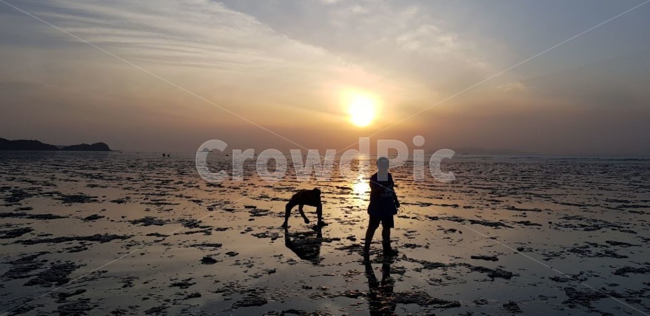 human,인간,사람,자연,nature,플레어,light,빛,flare,실루엣,그림자,silhouette,shadow,인물실루엣,사람실루엣,character silhouette,human silhouette