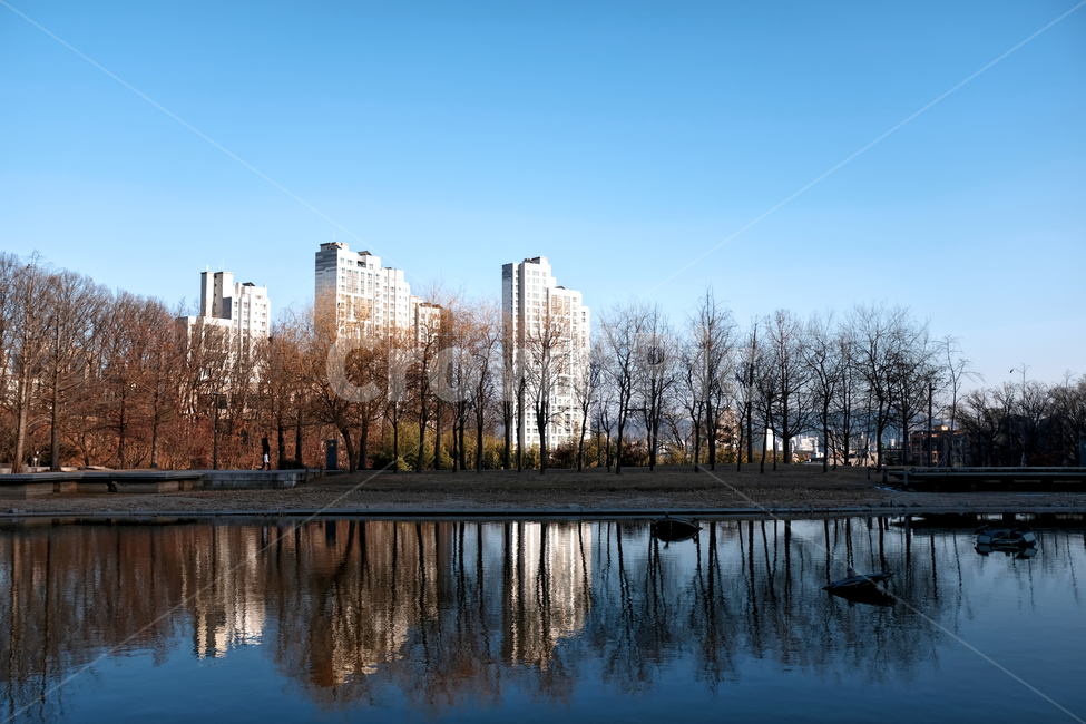강북구,북서울꿈의숲,나무,하늘,호수,월영지,도시,풍경,city,landscape,한국도시풍경,한국도시경관,korea cityscape,water,물