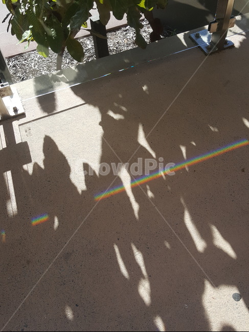 무지개,자연,rainbow,nature,맑은날,sunny,day,daylight