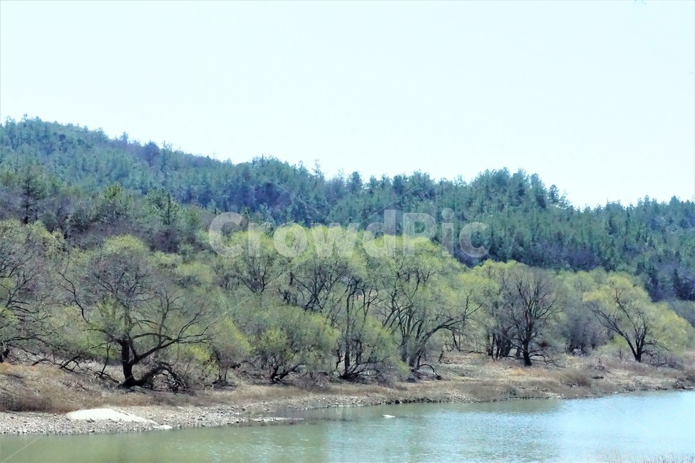 봄,나무,자연,식물,하늘,저수지,물,초록색,계절,새싹,spring,nature,season,sky,trees,resrrvoir,green,mountain,sprout,water,자연,풍경,nature,landscape,tree,plant,outdoors,옥외