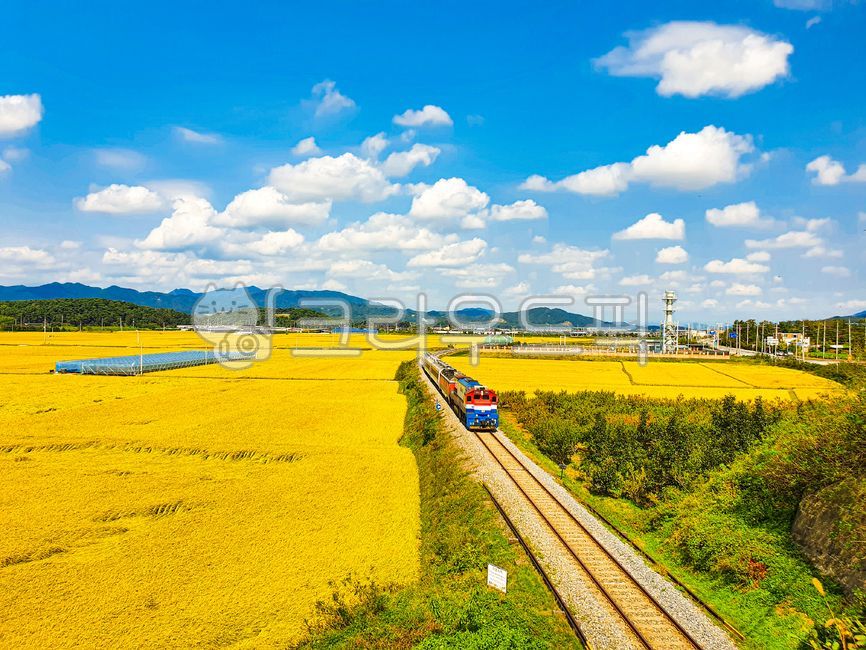 rail, 레일, traintrack, 기찻길, railway, 사진,이미지,일러스트,캘리그라피 - 명훈작가