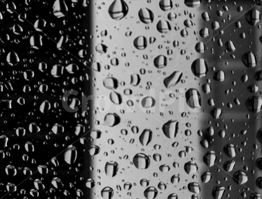 물방울,무늬,흑백,비,빗방울,창,유리,비,비오는날,rain,rainy,흑백,모노톤,monochrome,black and white