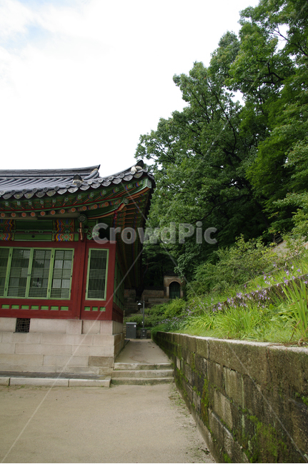 창덕궁,고궁,전각,한옥,전통가옥,기와지붕,건축,traditional,한국전통,한국문화,korean traditional,korean culture,건축물,건물외관,exterior,building,structure,architecture,construction