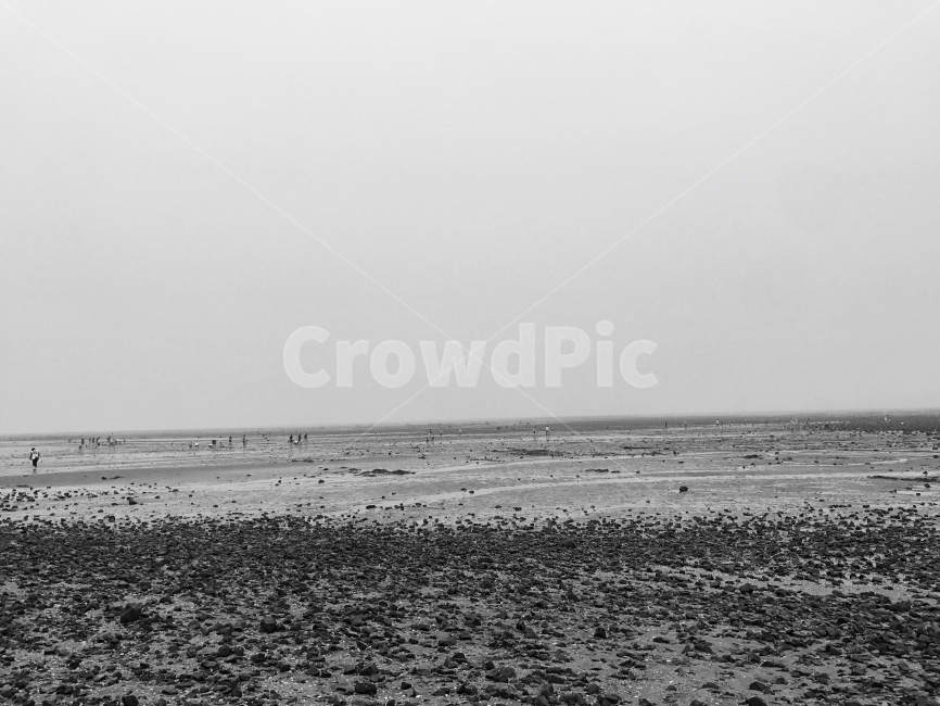 흑백,서해,바다,시흥,겟뻘,자연,풍경,nature,landscape,흑백,모노톤,monochrome,black and white,ground,바닥