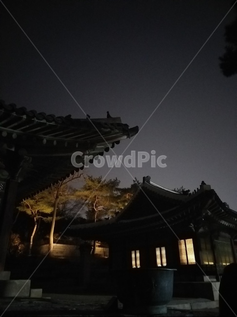 궁궐,야경,처마끝,초롱초롱,불빛,야경,밤,풍경,nightscape,night,landscape,한국전통,한국문화,korean traditional,korean culture,architecture,건축물,building,건물,worship,예배,shrine,신사,pagoda,탑