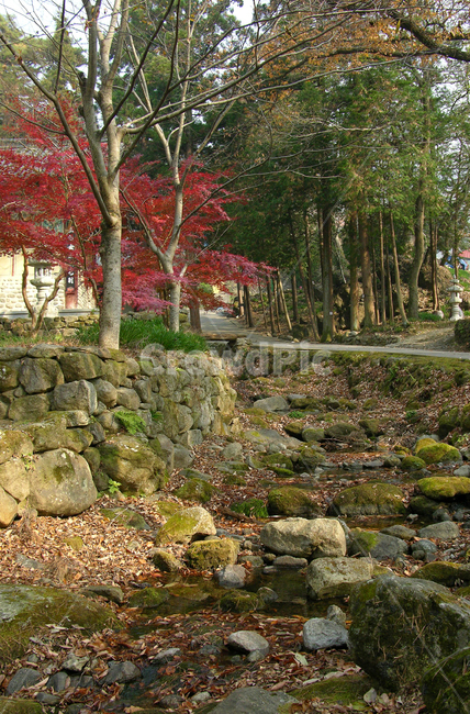 산,지리산,자연,풍경,숲,나무,가을,단풍,돌담,담,담장,스톤,돌,계곡,물가,돌계단,길,도로,산책로,산책길,숲길,물웅덩이,한국,대한민국,자연,풍경,nature,landscape,tree,plant,식물,wall,벽,rubble,파편