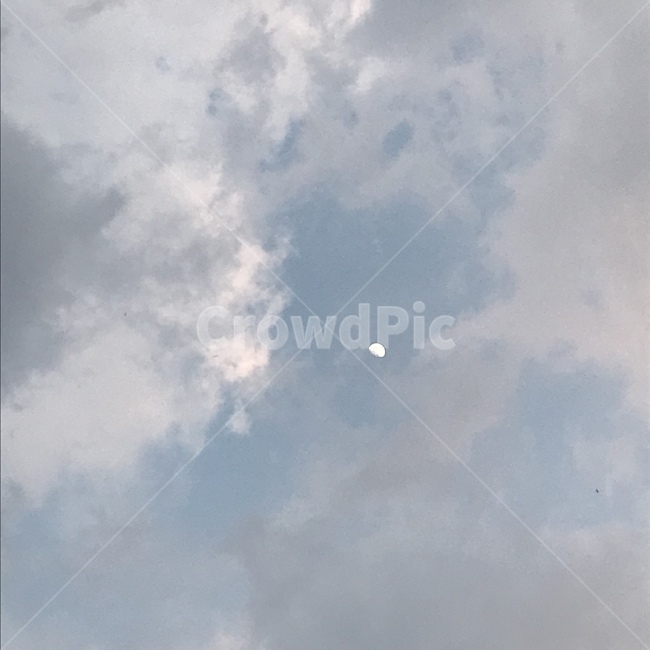 낮,하늘,달,구름,흐림,흐린하늘,잔잔한,고요한,반달,자연,풍경,일상,일상사진,감성사진,sky,cloud,moon