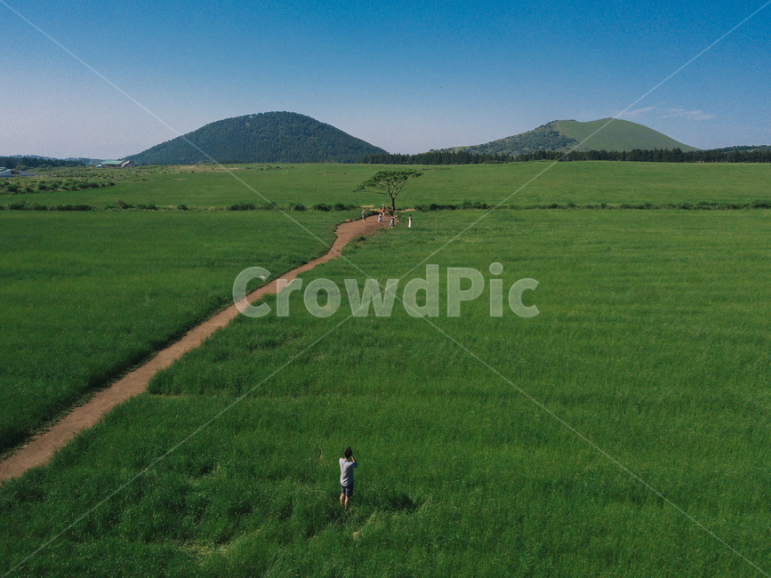 드론,제주도,나무,산,들판,green,mountain,drone,항공,blue,초록,자연,풍경,nature,landscape,한국자연풍경,한국자연경관,korea nature landscape,제주도,jeju,jeju island,사람,인물,인간,human,person,사진작가,포토그래퍼,photographer,outdoors,옥외,field,들,grassland,목초지,land,땅