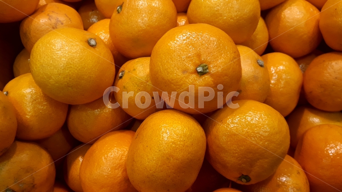 과일,fruit,열매,과채류,농산물