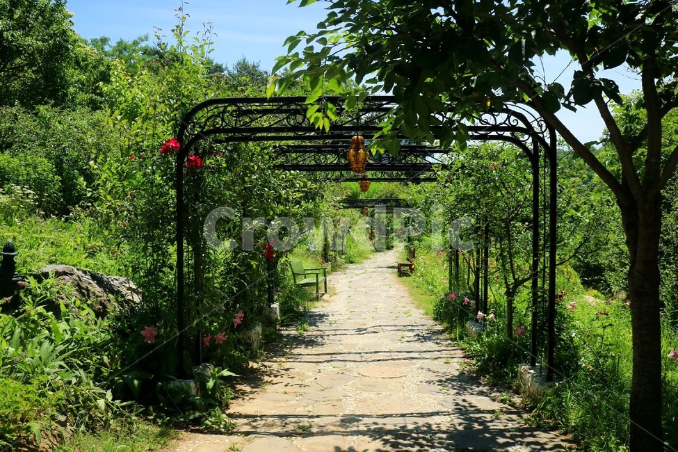 연천,허브마을,길,나무,의자,자연,풍경,꽃,풀,허브,시골,자연,풍경,nature,landscape,식물,plants,나무,trees,wood,outdoors,옥외,porch,현관,garden,정원,arbour,정자,patio,안마당