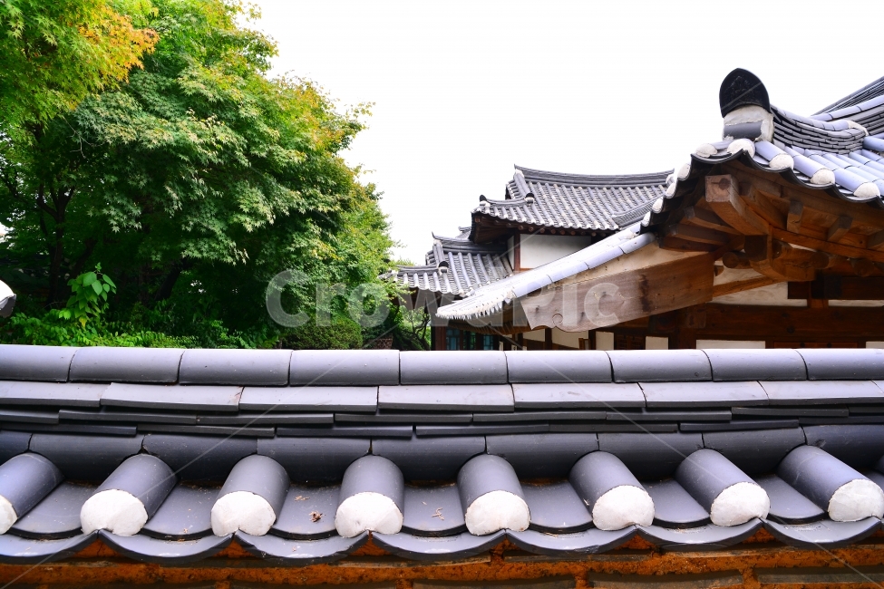 한옥,전통,북촌,하우스,기와집,서울,명소,관광지,투어,민속,보존,역사,HISTORY,HOUSE,SEOUL,TOUR,CULTURE,TRADITIONAL,KOREA,한국,가볼만한곳,담장,벽,처마,나무,우드,곡선,한국의미,아름다움,건축,장인,집,주거지,한국전통,한국문화,korean traditional,korean culture,건축물,건물외관,exterior,building,structure,architecture,construction