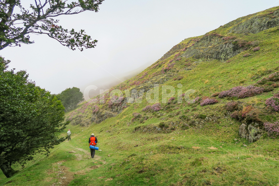 산티아고순례길,순례길,pilgrim,peregrino,순례,스페인,caminodesantiago,피레네산맥,outdoors,옥외,nature,자연,person,사람,human,인간