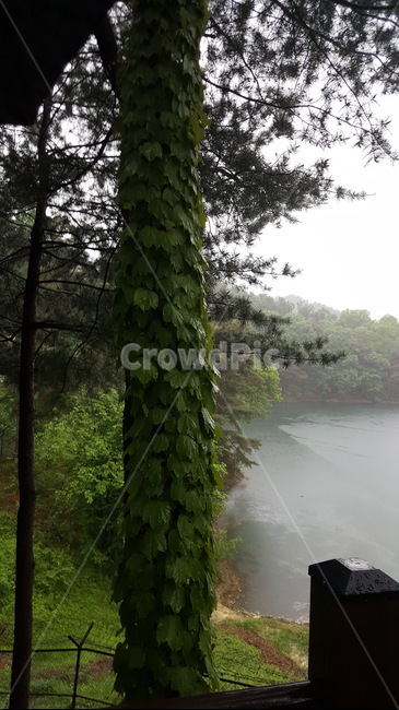 나무,호수,공원,산,tree,lake,park,mountain