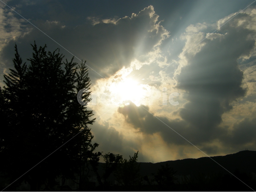 하늘,풍경,햇빛,태양,빛갈라짐,빛의산란,구름,sky,cloud,sun,sunlight,landscape,자연,나무,실루엣,그림자,nature,outdoor,Day,낮,야외,자연,풍경,nature,landscape,flare,플레어,light,빛