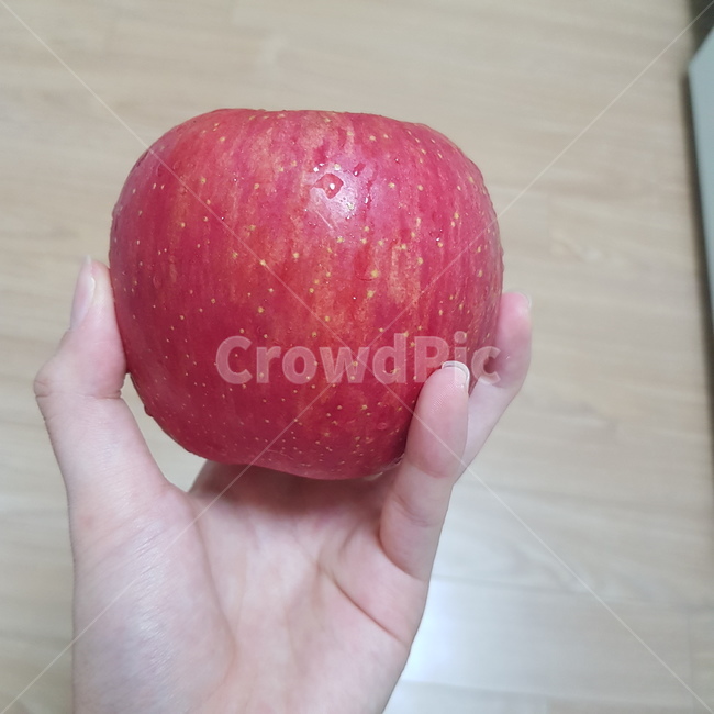 사과,apple,빨간색,red,과일