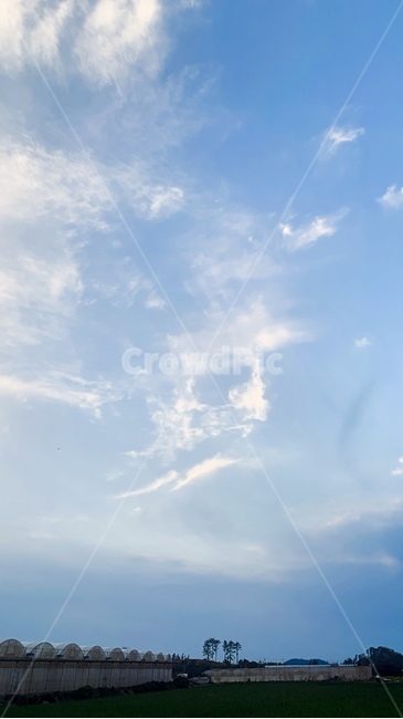 제주하늘,하늘,구름,이쁜하늘,예쁜하늘,자연,풍경,nature,landscape,outdoors,옥외,sky,azure sky,푸른 하늘