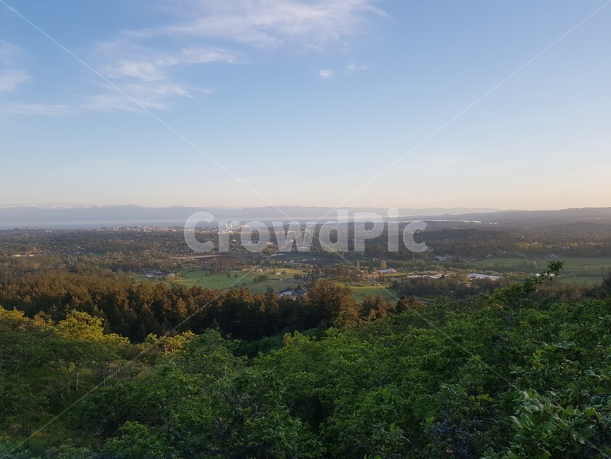 nature,자연,풍경,경치,나무,자연,풍경,nature,landscape,outdoors,옥외,scenery,tree,plant,식물,fir,전나무