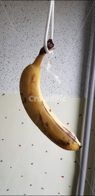 바나나,우울,자살,과일,슬픔,음식,식재료,요리,food,cook,meal,dishes,food reserves,과일,열매,fruit