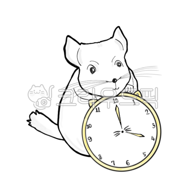 친칠라,시계,친칠라일러스트,일러스트,스티커,동물일러스트