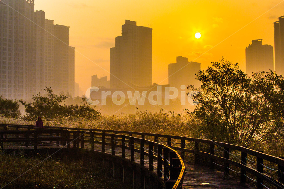 풍경,산책,나무,아파트,역광,가을,계절,fall,autumn,season,도시,풍경,city,landscape,한국도시풍경,한국도시경관,korea cityscape,banister,난간,handrail