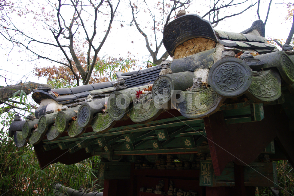 기와지붕,낙엽,단풍,가을,fall,지붕,traditional,전통,한국전통,한국문화,korean traditional,korean culture,건축물,건물외관,exterior,building,structure,architecture,construction