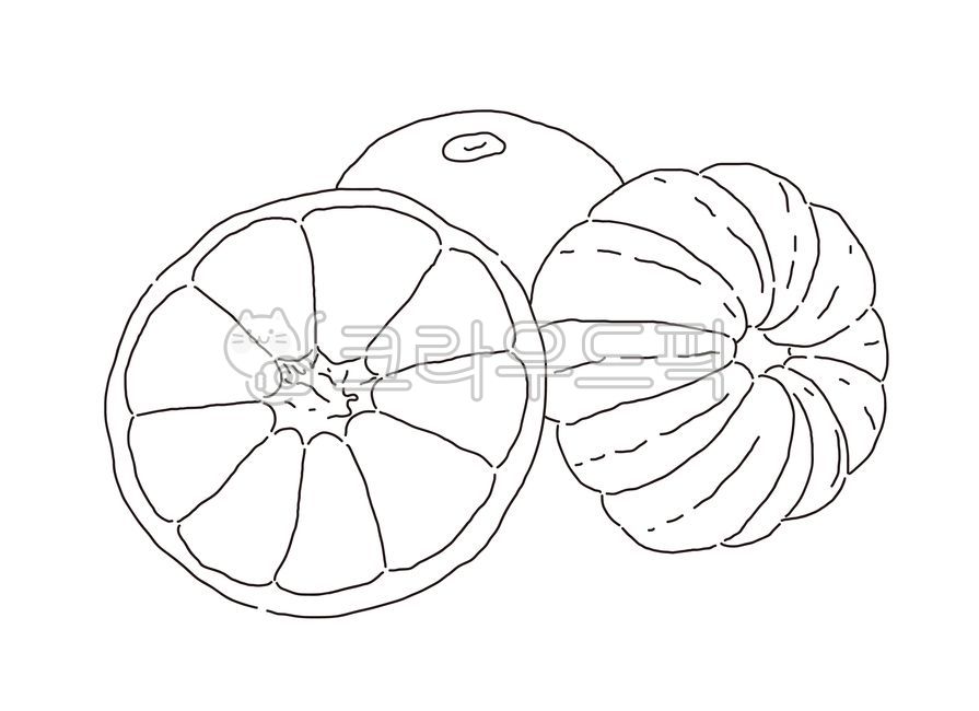 귤,오렌지,감귤,밀감,과일,자연,음식,열매,천혜향,한라봉,레드향,제주,제주도,만다린,탄제린,주황색,껍질,시트러스,신,잎,반,슬라이스,컷,열대,건강,다이어트,비타민,그림,손그림,스케치,식물,신선한,일러스트,그래픽,디자인,클립아트,아트,디자인소스,벡터,컨셉,오브젝트,익은,건강한,유기농,주스,달콤한,농사,농업,식사,식용,씨,겨울,tangerine,mandarin,orange,fruit,nature,food,jeju,jejuisland,peel,citrus,sour,leaf,half,slice,cut,tropical,health,diet,vitamin,painting,handdrawing,sketch,plant,fresh,illustration,graphic,design,clipart,art,designsource,vector,symbol,isolated,sign,concept,abstract,natural,object,healthy,juicy,organic,juice,sweet,freshness,farming,agriculture,seed,winter