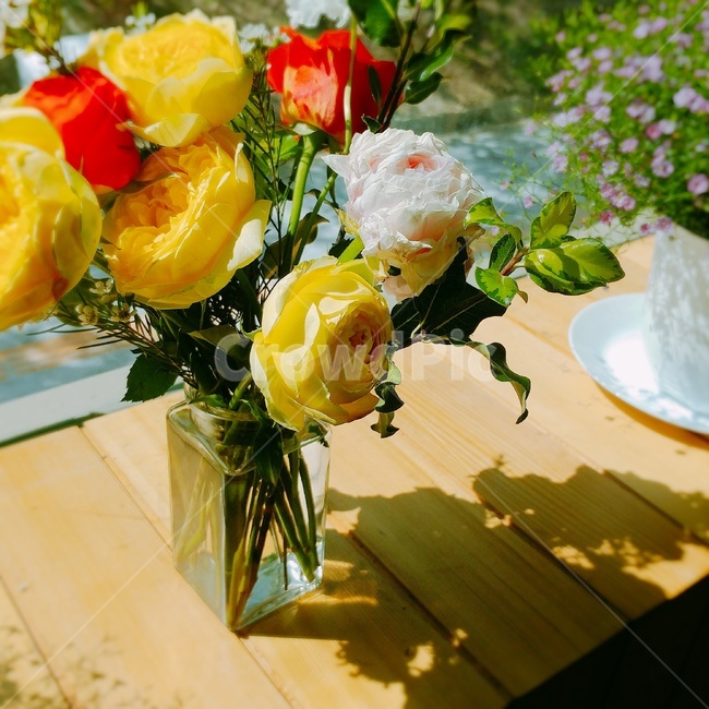 plant,식물,blossom,꽃,flower,장미,꽃꽂이,rose,yellowrose,flowerarrangement