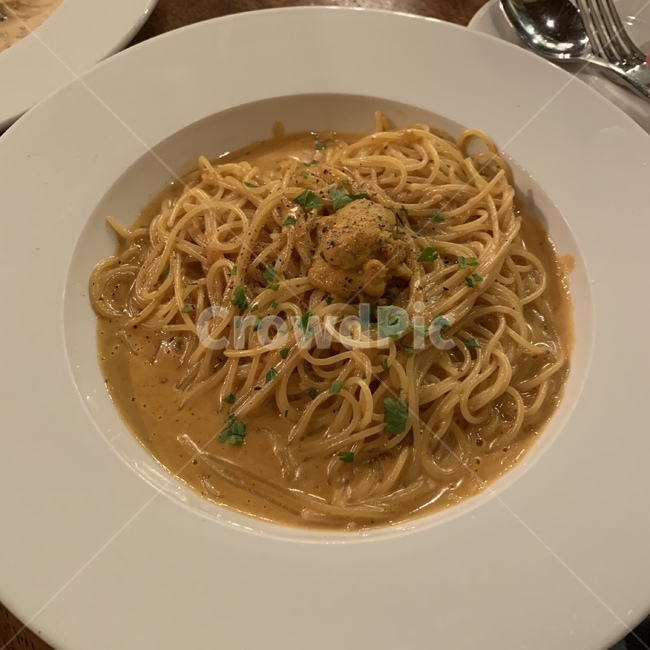 파스타,pasta,noodle,food,음식,음식,식재료,요리,food,cook,meal,dishes,food reserves