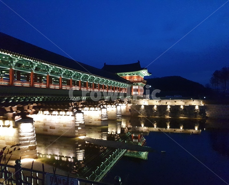 경주,야경,강,불빛,밤
