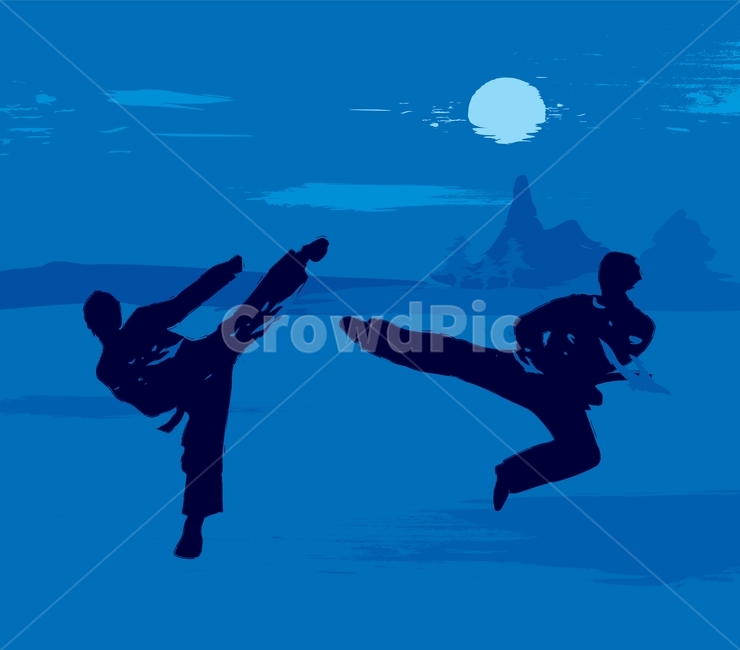태권도,마샬아츠,무술,태극,발차기,사람,실루엣,인물,그림자,싸움,게임,스포츠,도복,남자,일러스트,벡터,배경,백그라운드,풍경,삽화,밤,달,산,그래픽,일러스트레이션,graphic,illustration