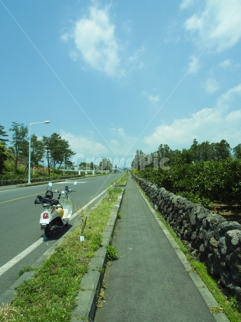 제주도,가을,오토바이,하늘,구름,제주도,jeju,jeju island,여행,휴가,traveling,vacation,trip,교통,교통수단,traffic,transportation,road,도로,asphalt,아스팔트,tarmac,타맥,highway,고속도로,freeway,고속 도로