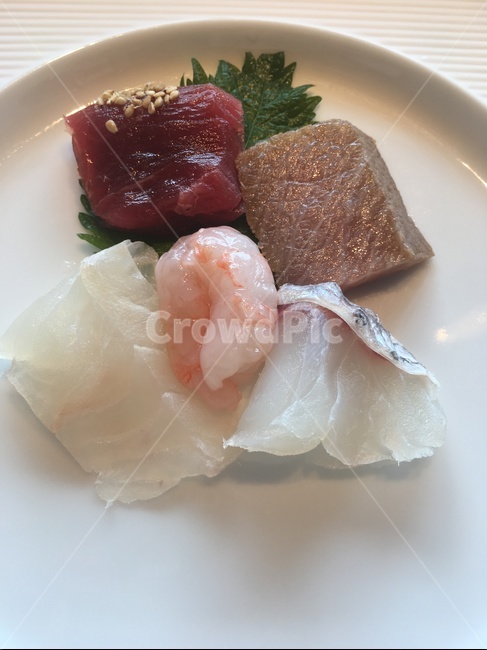 회,생선,음식,요리,날것,일식,food,음식,식재료,요리,food,cook,meal,dishes,food reserves