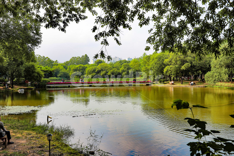 풍경,자연,햇살,숲의향기,따뜻함,여름날,힐링,여름,nature,landscape,숲속,식물,야외,조경,가든,뜰,정원,summer,season,아름다움,healing,몽환적,동화,감성,relaxation,시원한,푸른잎,자연풍경,저수지,feeling,아날로그,sensible,물,한국의숲,환경,숲,햇빛,오후,배경,산책,여름수목원,여름저수지,여름연못,여름풍경,여름숲,도심속의숲