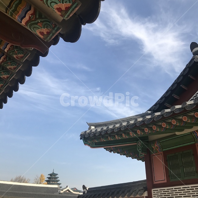 한국,전통,하늘,구름,가을