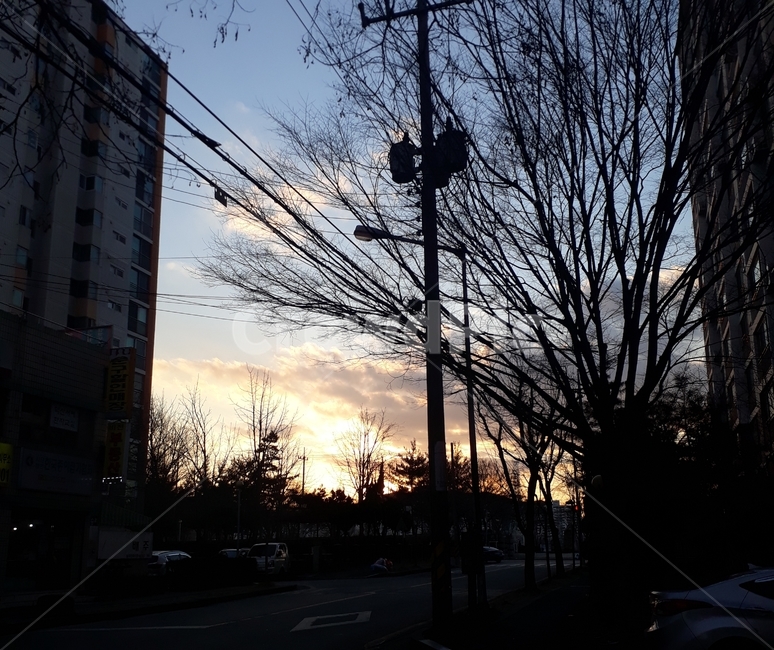 노을,하늘,구름,나뭇가지,sky