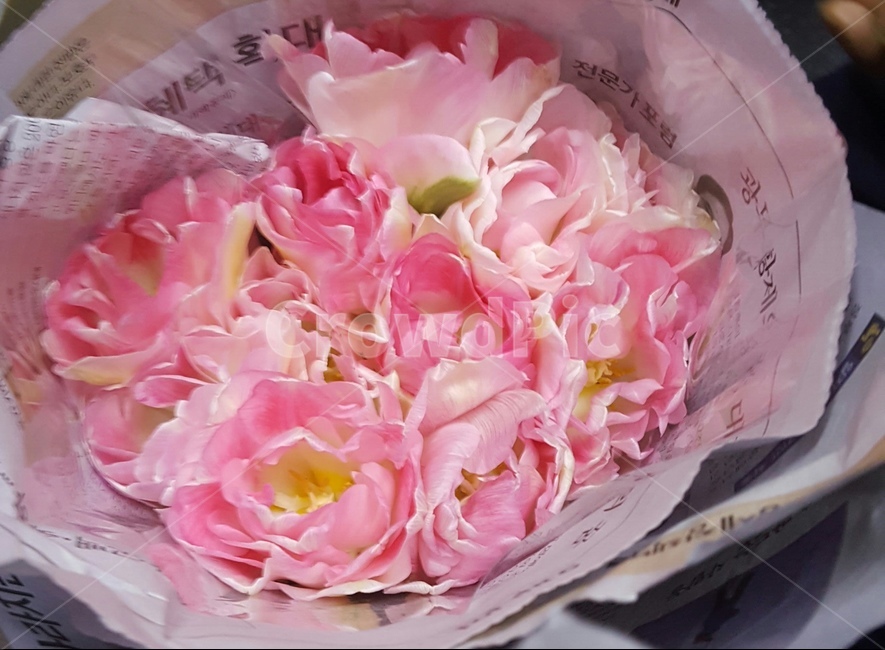 꽃,꽃다발,봄,자연,고백,꽃,flower